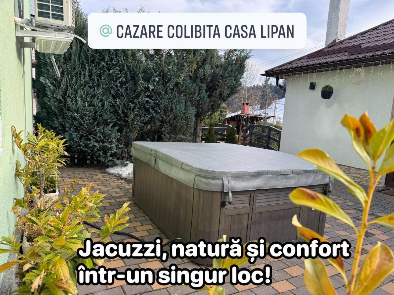 Cazare Colibita Casa Lipan 外观 照片